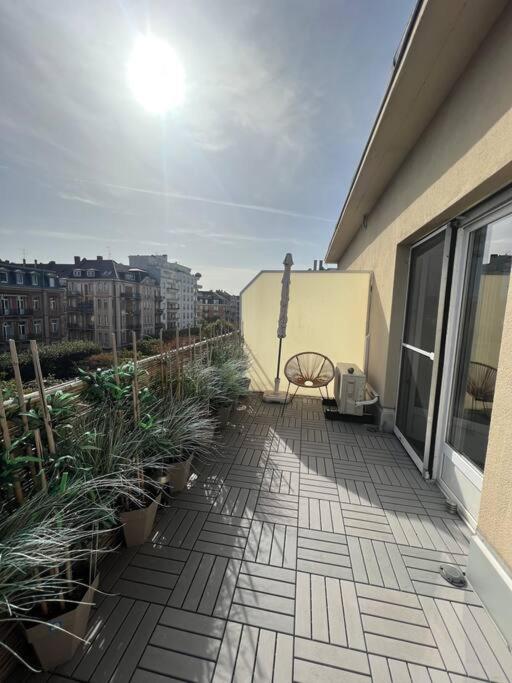 Appartement Cosy Orangerie Strasburg Zewnętrze zdjęcie