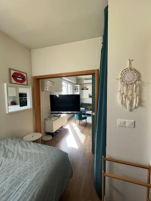 Appartement Cosy Orangerie Strasburg Zewnętrze zdjęcie